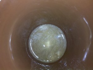 SoyGo Soy Creamer in the bottom of the cup